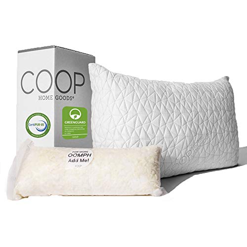 06-Adaptable-Pillow-By-Coop