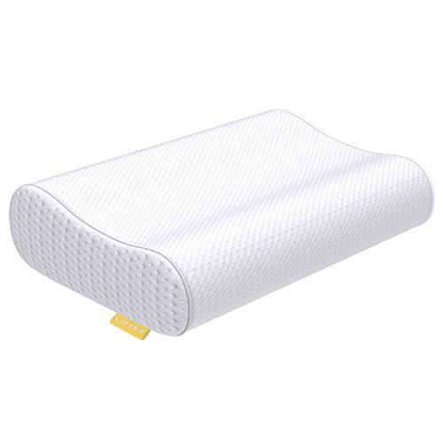 07-UTTU-Sandwich-Pillow